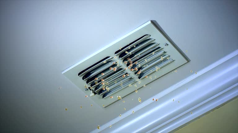 Best Ductwork Cleaning Services  in Four Bridges, OH